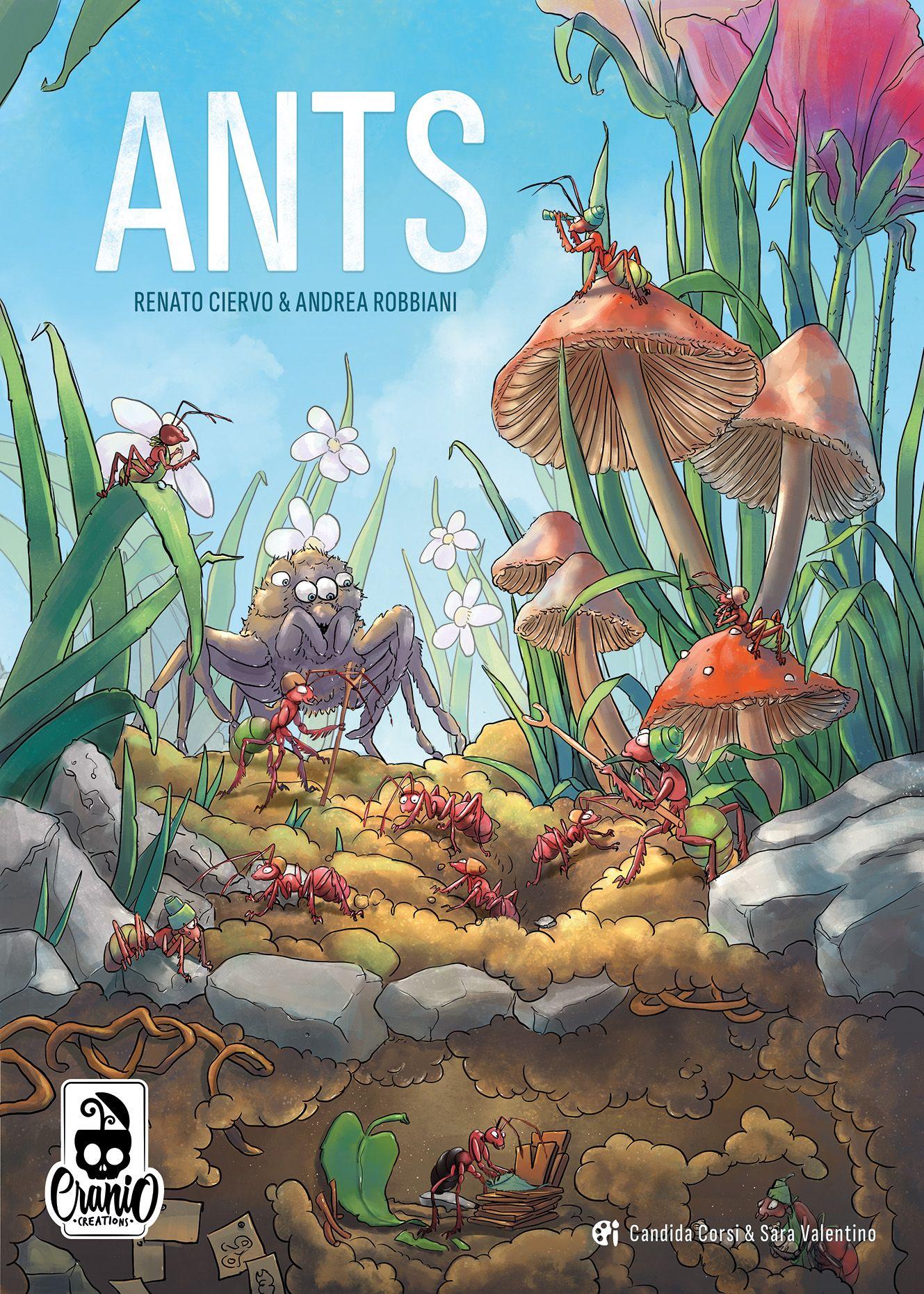 Ants EN
