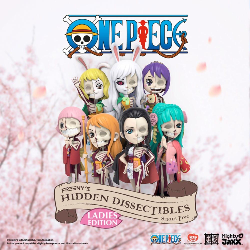 One Piece Blind Box Hidden Dissectibles Series 5 (Ladies ed.) (1 Blind Box)